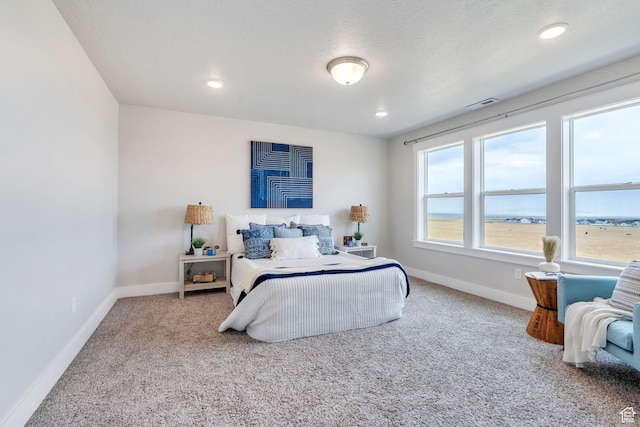 432 W 1470 N, Tooele, UT 84074 - photo 15