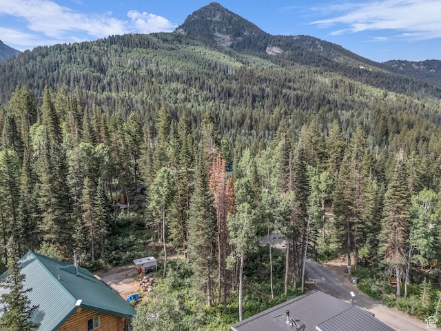 9281 E Fox Haven Ln, Brighton, UT 84121 - photo 4