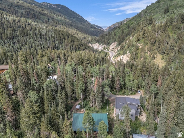 9281 E Fox Haven Ln, Brighton, UT 84121 - photo 8