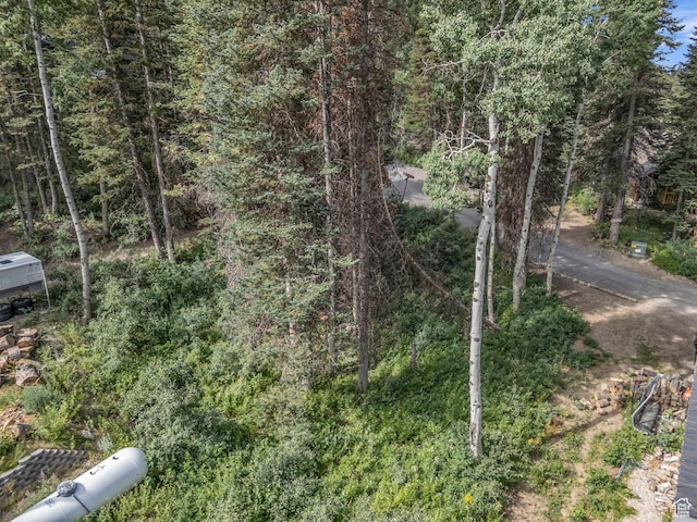 9281 E Fox Haven Ln, Brighton, UT 84121 - photo 5