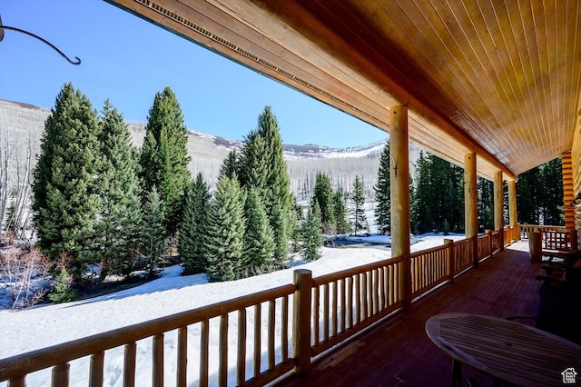 7102 S Steller Jay Way, Brighton, UT 84121 - photo 83