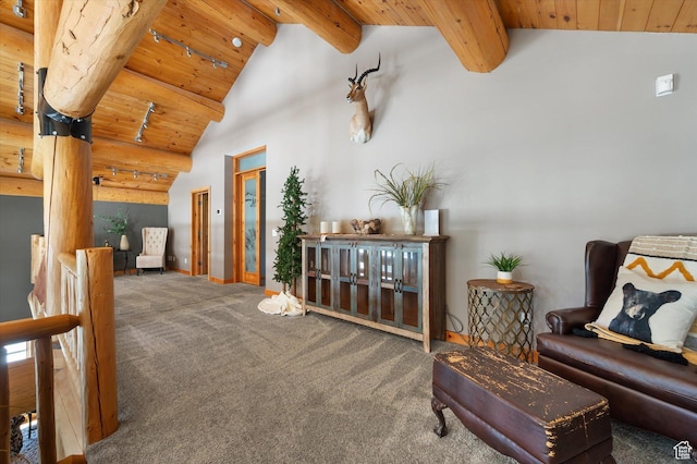 7102 S Steller Jay Way, Brighton, UT 84121 - photo 46