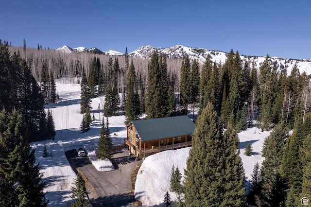 7102 S Steller Jay Way, Brighton, UT 84121 - photo 2