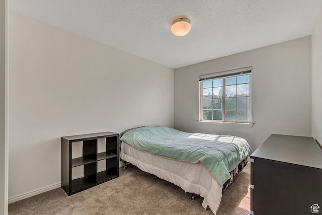1046 S 810 E, Provo, UT 84606 - photo 14