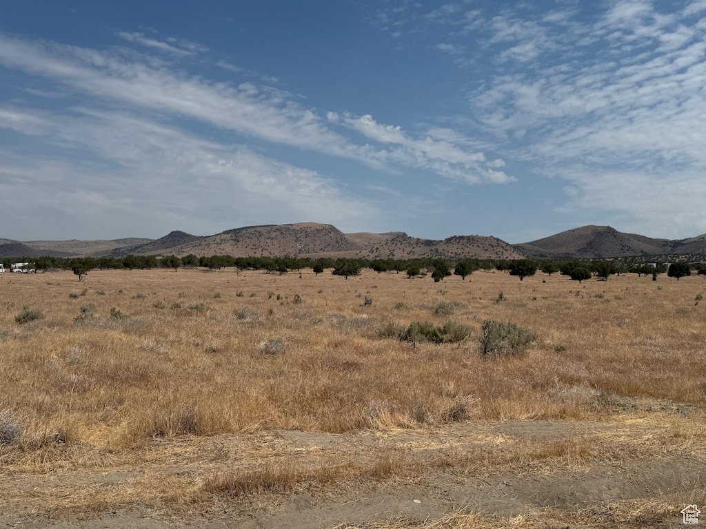22263 N 2100 E Unit 3, Fountain Green, UT 84632 - photo 3