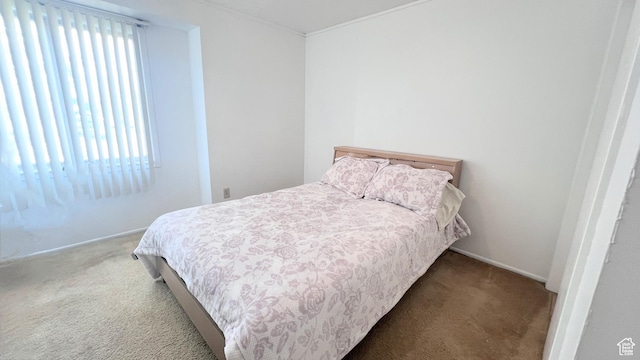 790 N Valley Dr, Castle Dale, UT 84513 - photo 9
