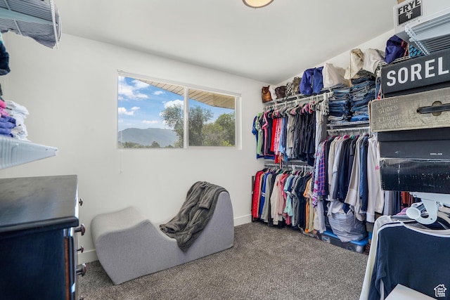 5109 S 1225 W, Riverdale, UT 84405 - photo 13