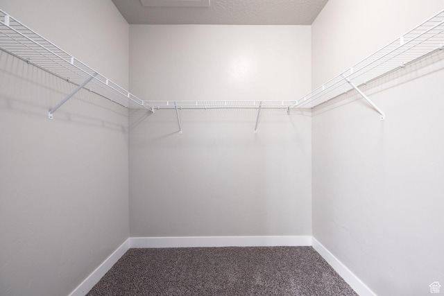 5017 W Samana Ln Unit 301, Herriman, UT 84096 - photo 16