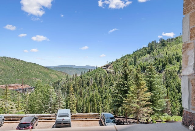 2300 Deer Valley Dr E Unit 102, Park City, UT 84060 - photo 27