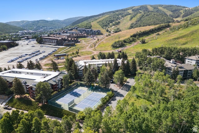 401 Silver King Dr Unit 50, Park City, UT 84060 - photo 4