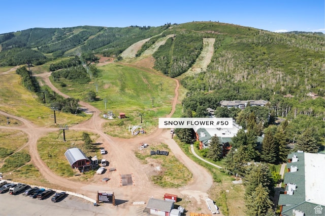401 Silver King Dr Unit 50, Park City, UT 84060 - photo 2