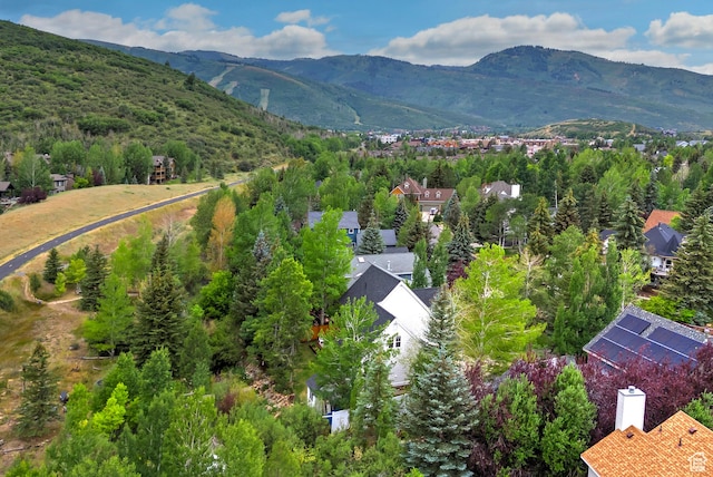2512 Lily Langtry Ct, Park City, UT 84060 - photo 43