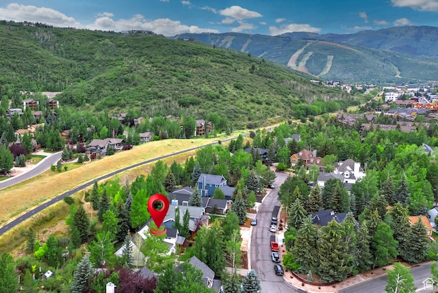 2512 Lily Langtry Ct, Park City, UT 84060 - photo 41