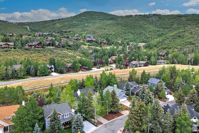 2512 Lily Langtry Ct, Park City, UT 84060 - photo 40