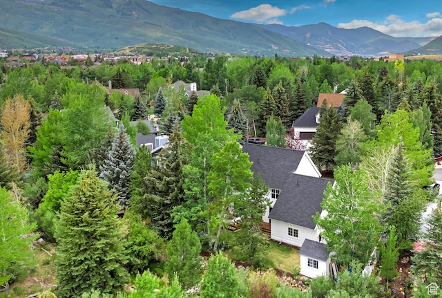2512 Lily Langtry Ct, Park City, UT 84060 - photo 42