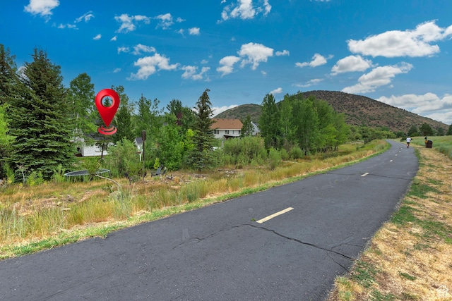 2512 Lily Langtry Ct, Park City, UT 84060 - photo 24