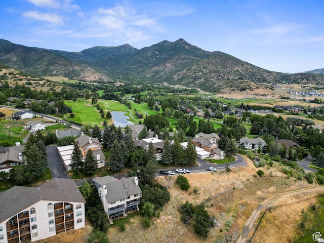 901 Schneitter Cir Unit 7, Midway, UT 84049 - photo 34