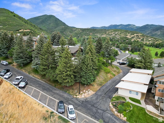 901 Schneitter Cir Unit 7, Midway, UT 84049 - photo 29