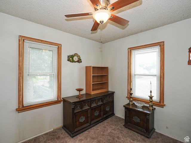 648 W Wasatch St, Midvale, UT 84047 - photo 16