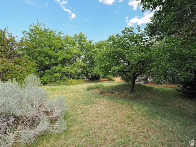 648 W Wasatch St, Midvale, UT 84047 - photo 27