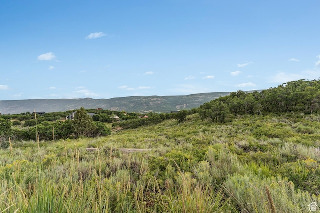 9454 E Acorn Cir Unit 928, Heber City, UT 84032 - photo 13