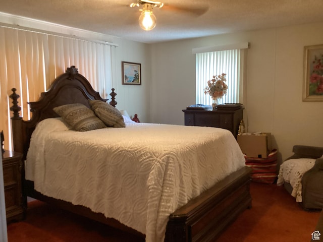 248 N 4th E, Manila, UT 84046 - photo 41