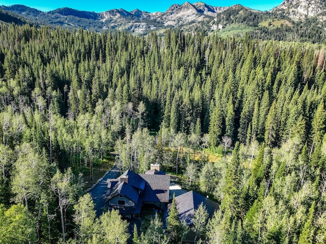 12621 E Old Stage Rd S, Brighton, UT 84121 - photo 49