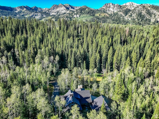 12621 E Old Stage Rd S, Brighton, UT 84121 - photo 48