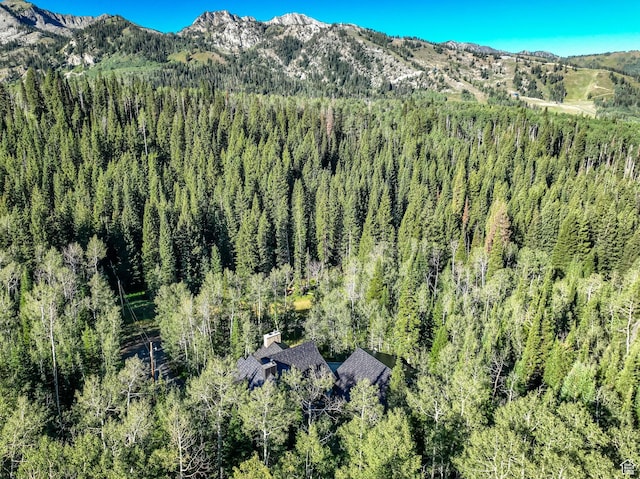 12621 E Old Stage Rd S, Brighton, UT 84121 - photo 47