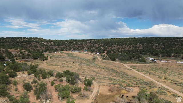 38150 W 4690 S, Duchesne, UT 84021 - photo 66