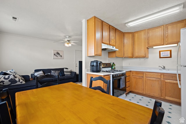 543 N 790 E Unit 109, Provo, UT 84606 - photo 10