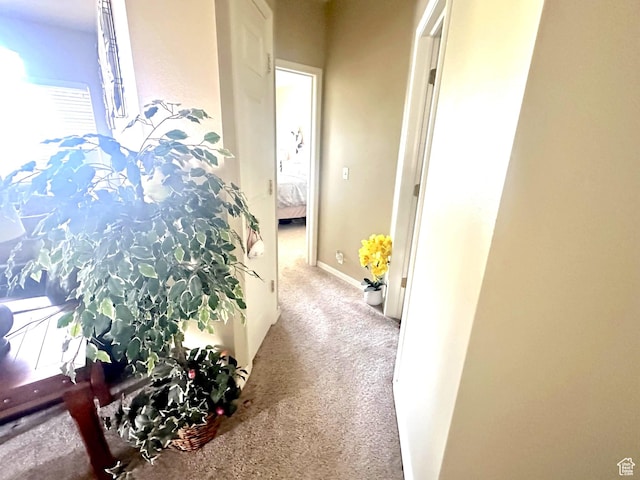1162 E 6600 S Unit 311, Murray, UT 84121 - photo 19