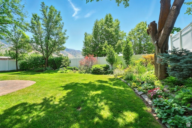 964 E Stewart Hill Dr, River Heights, UT 84321 - photo 49