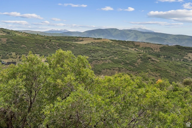 1420 S Beaver Bench Rd Unit 1306, Heber City, UT 84032 - photo 35