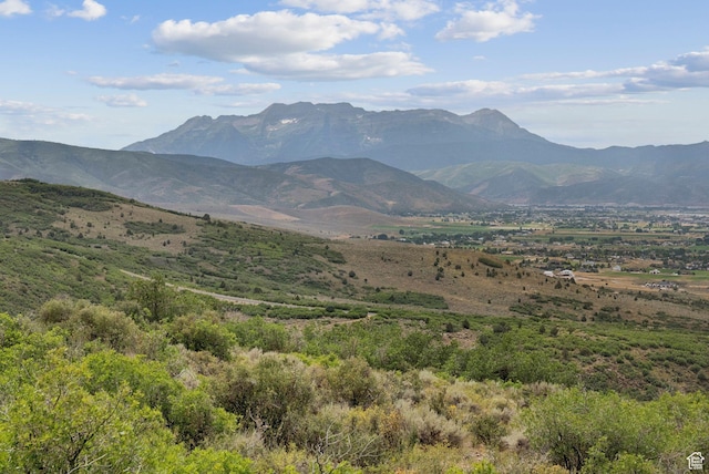 1420 S Beaver Bench Rd Unit 1306, Heber City, UT 84032 - photo 37
