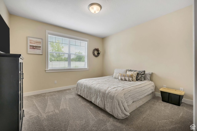 1604 W Calais Villas Way, West Jordan, UT 84084 - photo 29