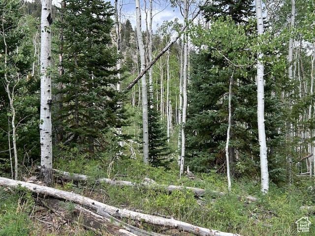 0, Duchesne, UT 84021 - photo 20