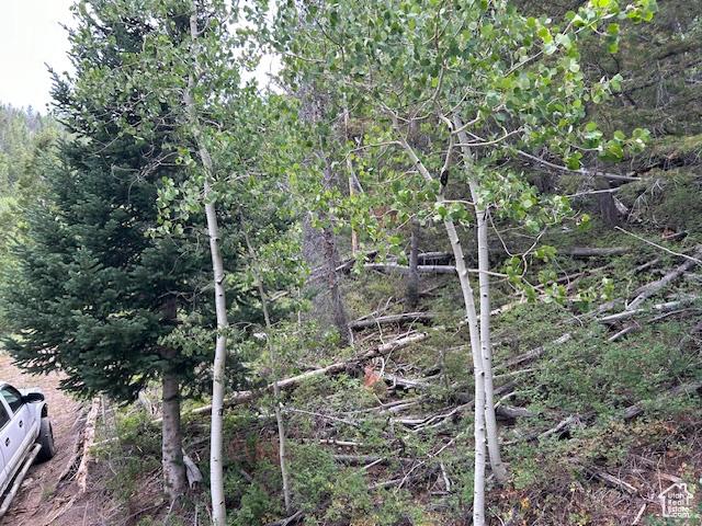 0, Duchesne, UT 84021 - photo 21