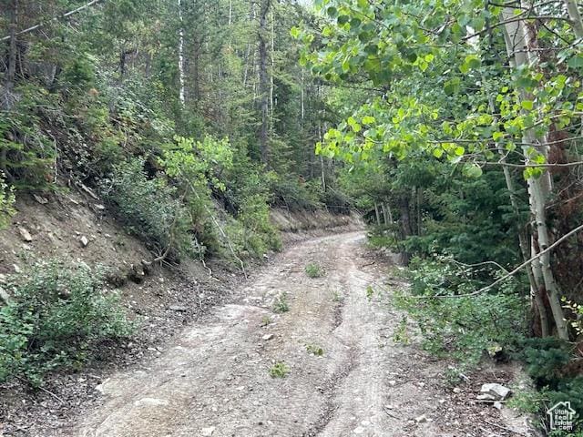 0, Duchesne, UT 84021 - photo 16