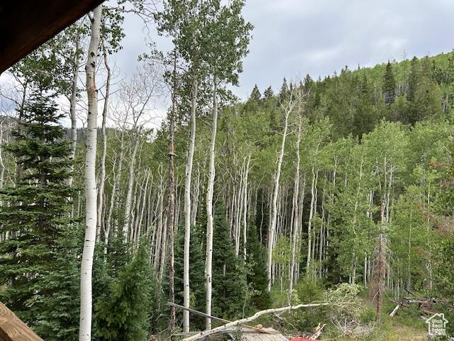 0, Duchesne, UT 84021 - photo 23