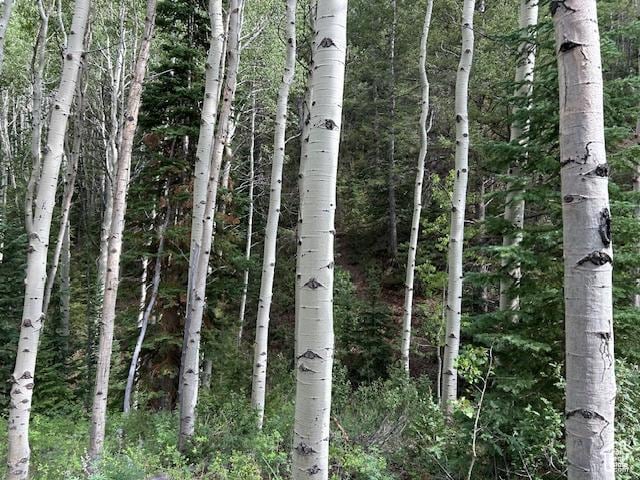 0, Duchesne, UT 84021 - photo 18