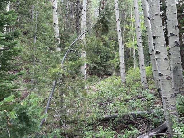 0, Duchesne, UT 84021 - photo 19