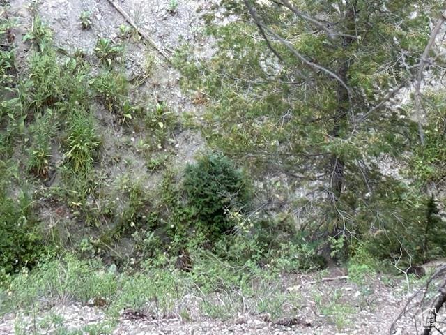 0, Duchesne, UT 84021 - photo 14