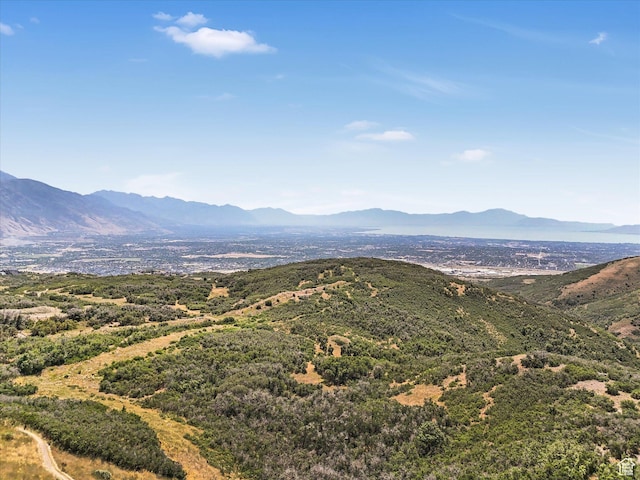 1792 E Longbranch Ct, Draper, UT 84020 - photo 7