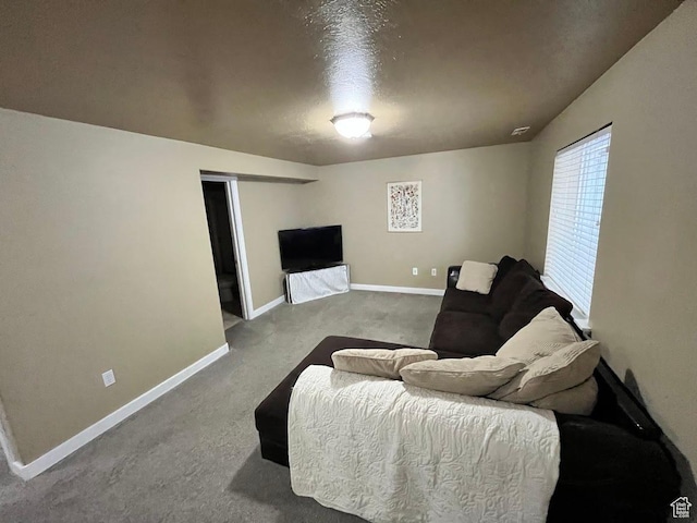 1030 N 130 W Unit 100, Logan, UT 84341 - photo 20