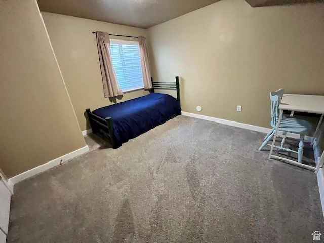 1030 N 130 W Unit 100, Logan, UT 84341 - photo 24