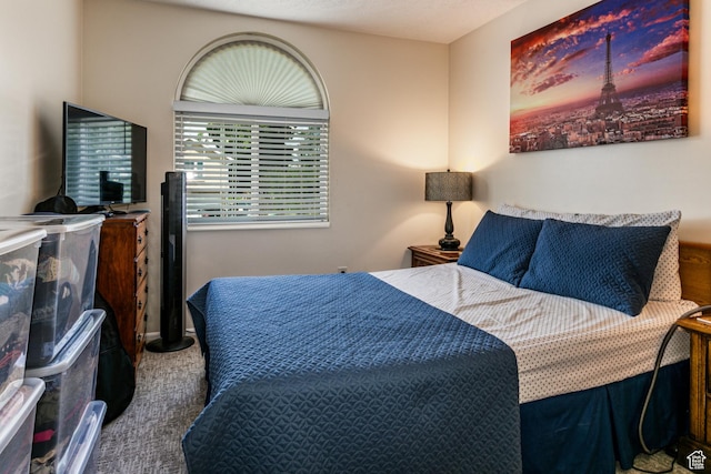 778 E Park Mesa Way, Sandy, UT 84094 - photo 18