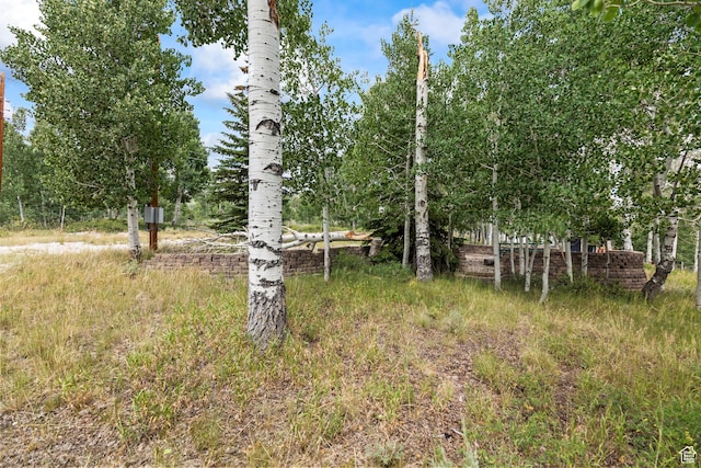 Fish Lake, UT 84701 - photo 2
