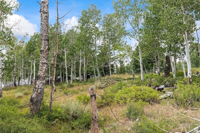 Fish Lake, UT 84701 - photo 7