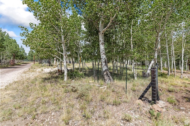 Fish Lake, UT 84701 - photo 17